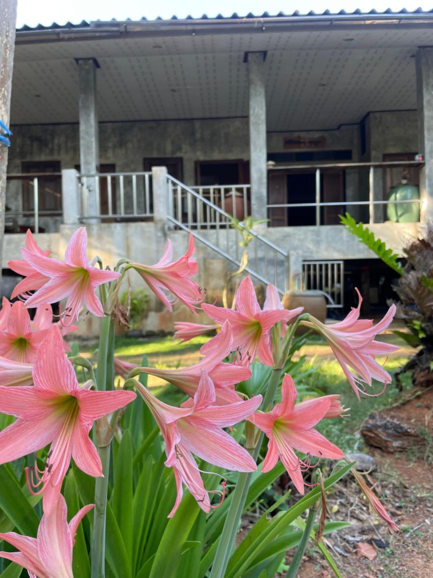 Baanyaiguesthouse Mak-sziget Kültér fotó
