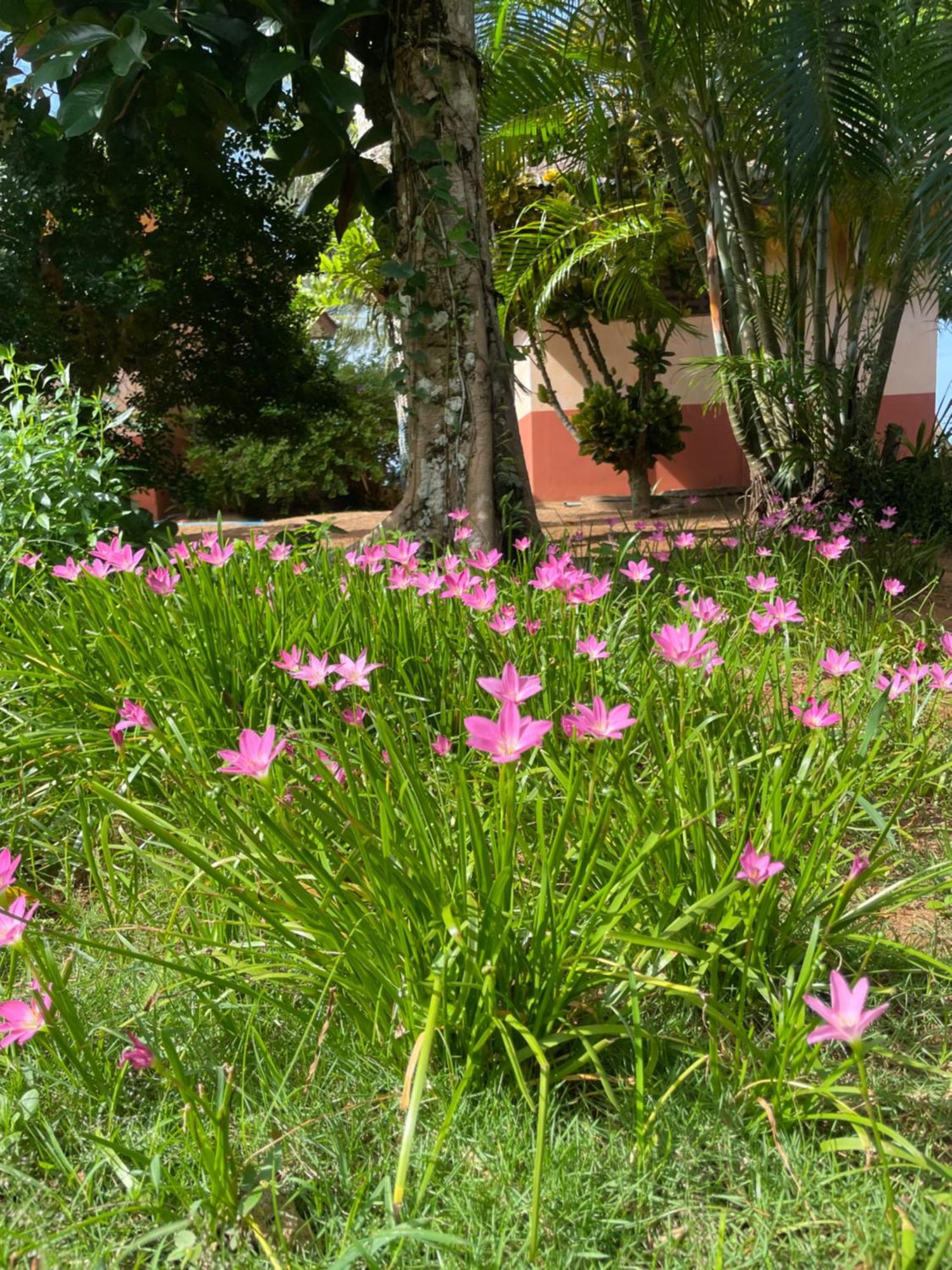 Baanyaiguesthouse Mak-sziget Kültér fotó